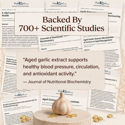 Levita Aged Garlic Extract