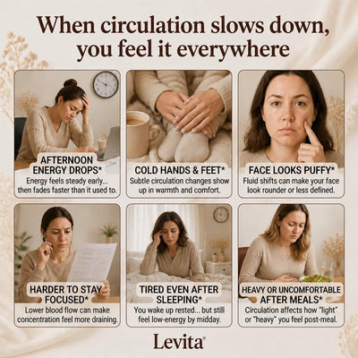 Levita Aged Garlic Extract
